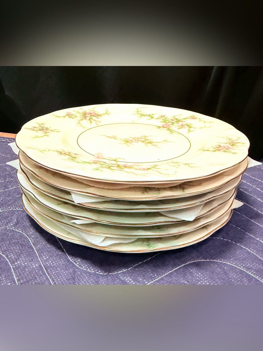 7Theodore Haviland Salad Plates 71/2 Set of 6)